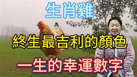 屬雞的幸運數字|屬雞的人幸運數字